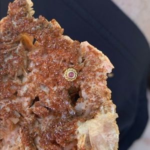 Bvla “Mini Raine “